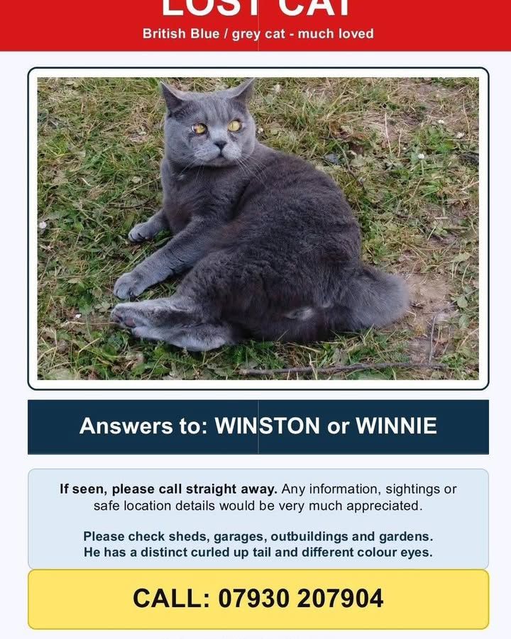 Winston is still mi…