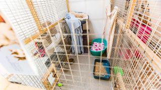 Our rescue centre needs help!