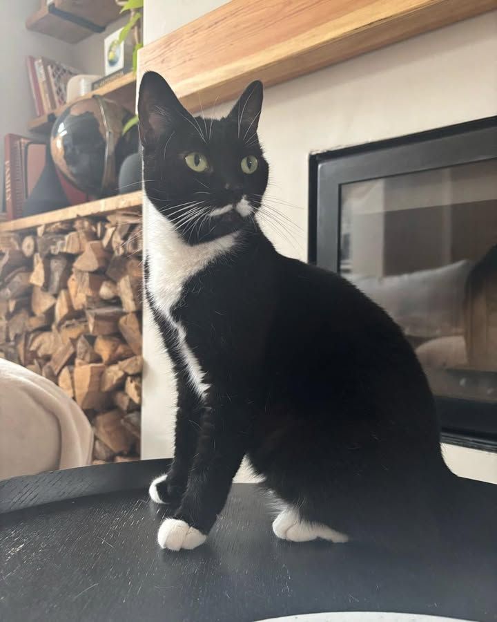 Mable is a beautifu…